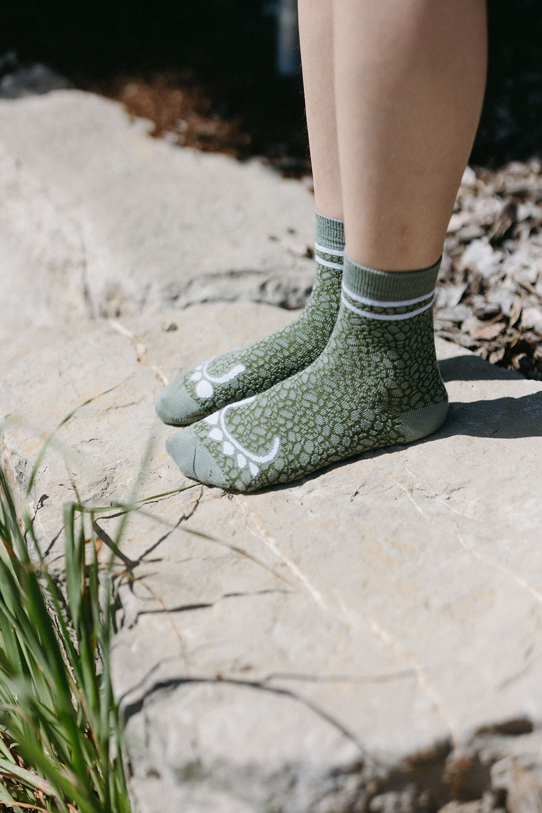 NIMS CROC 🐊